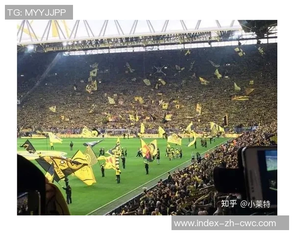 篮球分布图解析：揭示各地区篮球热度与参与度的趋势与变化