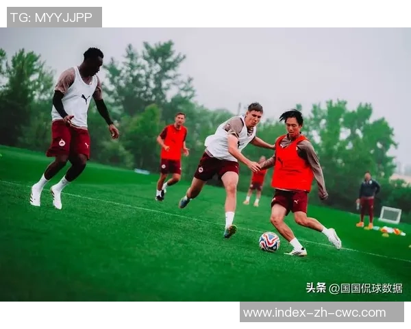 足球h漫的魅力与挑战探索运动与艺术的完美结合之旅