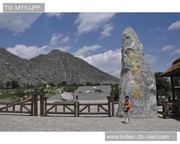 贺兰山足球俱乐部奋勇争先展现团队精神与竞技风采的辉煌之路