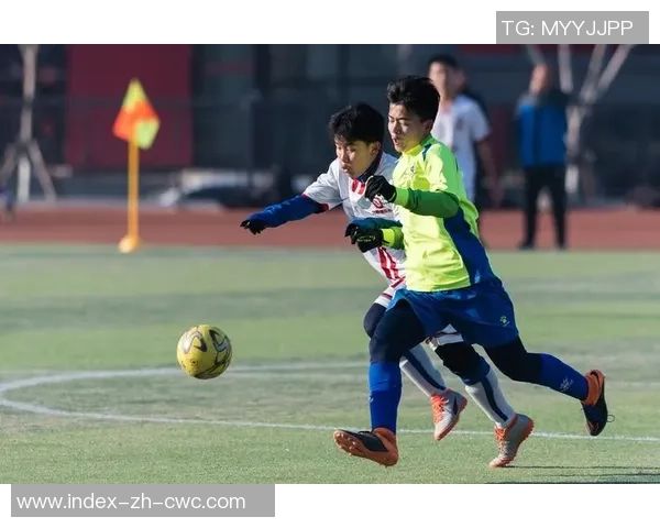 越球足球的魅力与发展探讨：从草根到职业的精彩之路